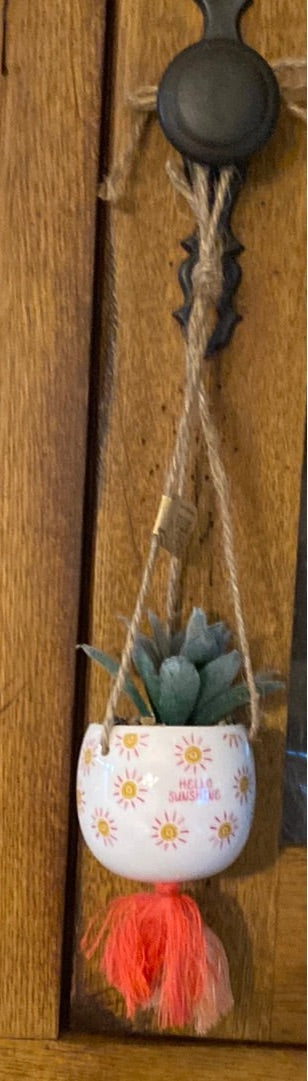 SJ - Mini Hanging Succulents (Gina B’s)